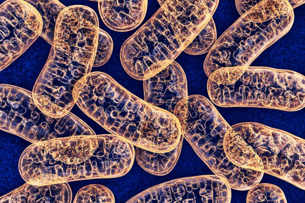 Your Brain May Have Mutated in Unexpected Ways Your Brain May Have Mutated In Unexpected Ways