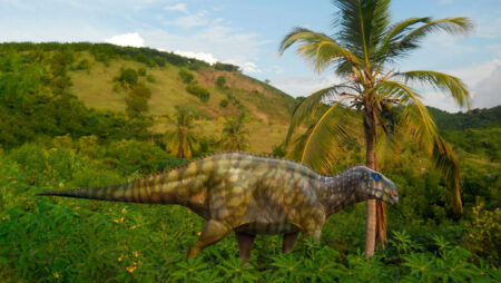 A newly discovered herbivorous dinosaur species A Newly Discovered Herbivorous Dinosaur Species