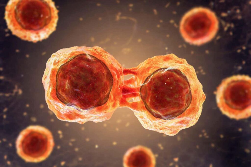 Breakthrough In Cancer Treatment: Lab Grown Stem Cells Offer New Hope