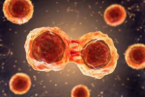 Breakthrough In Cancer Treatment: Lab Grown Stem Cells Offer New Hope