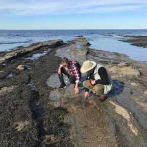 Footprints Of A Polar Dinosaur Discovered In Australia Dating Back