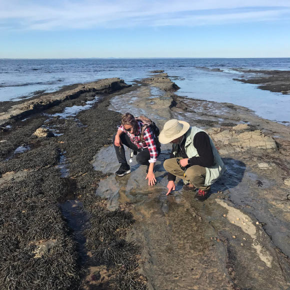 Footprints of a polar dinosaur discovered in Australia dating back 120 million years Footprints Of A Polar Dinosaur Discovered In Australia Dating Back