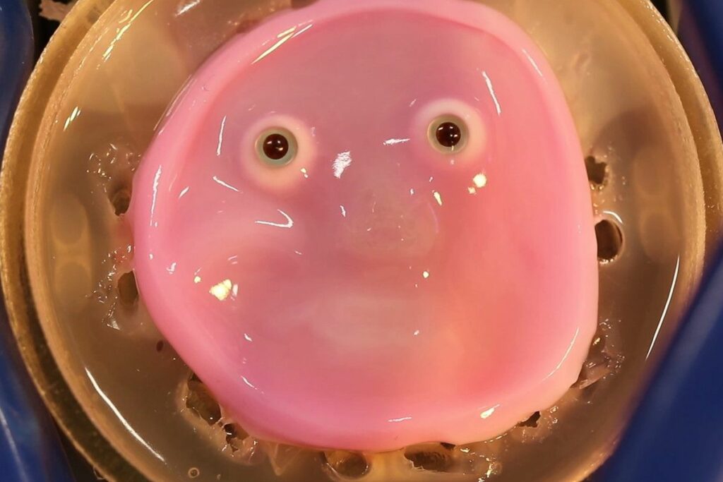 Here's Why Scientists Are Attempting To Coat Robots With Living