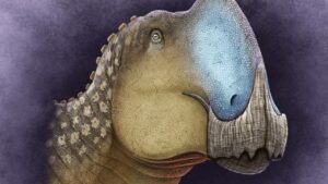 Mexico Reveals Newly Discovered Duck Billed Dinosaur