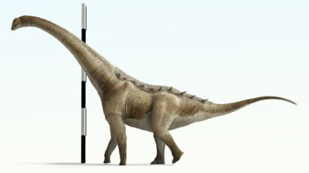 New Species Of Titanosaur Discovered In Spain By Paleontologists