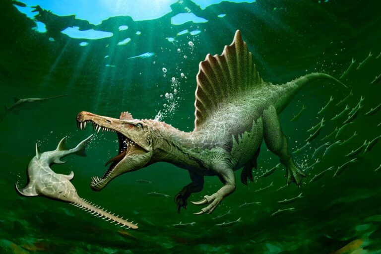 Uncovering The Secrets Of Dinosaurs: An Interview With David Horn