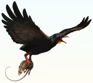 Abyssaurid Birds From The Cretaceous Era Might Have Hunted Similar