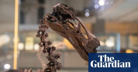 Cambridge exhibition showcases AI technology that gives voice to deceased animals Cambridge Exhibition Showcases Ai Technology That Gives Voice To Deceased
