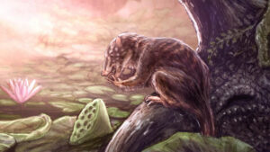 Fossil Of A Large Metatherian Mammal Discovered In Colorado