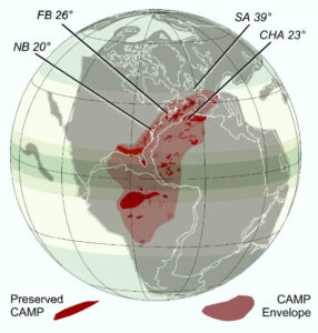 Fresh Research Illuminates The Mechanisms Behind The End Triassic Mass Extinction