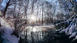 How Do Microorganisms Get Ready For Winter?