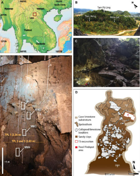 New Excavations Shed Light On Early Human Activity In Laos'