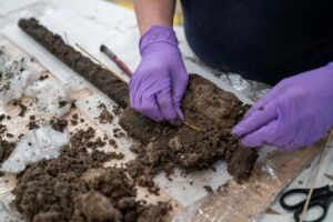 Rare Bronze Age Wooden Tools Unearthed In British Trenches
