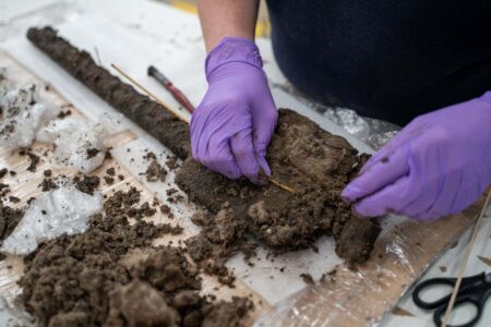Rare Bronze Age Wooden Tools Unearthed In British Trenches
