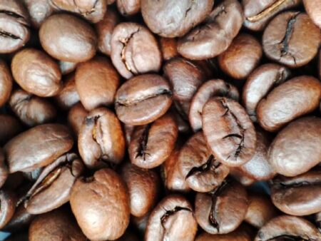 Study Suggests That Increasing Caffeine Intake Can Lead To Better