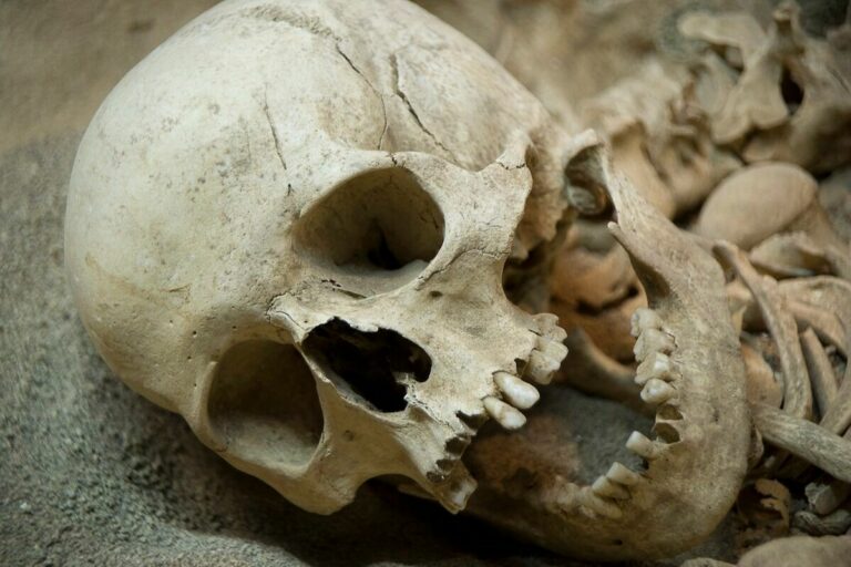 The Victorian Era’s Affinity for Smoking: Uncovering its Effects on Bone Health The Victorian Era's Affinity For Smoking: Uncovering Its Effects On