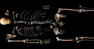 Wellman From Norse Mythology Identified As Skeleton Found In Castle