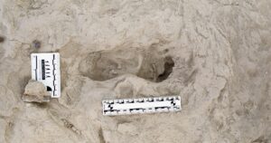 Ancient Footprints Reveal Two Human Relative Species Coexisted Together