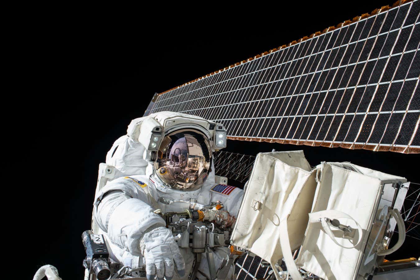 Astronauts Find It Challenging To Think Fast While In Space.