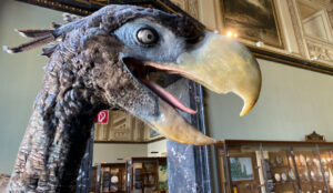 Colombia Unearths Fossil Of Enormous Bird Of Prey
