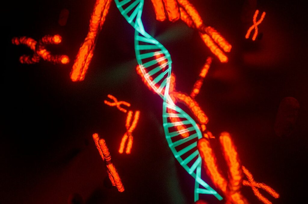 Is The Disappearance Of The Y Chromosome Spelling The End