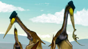 Japanese Researchers Discover A New Species Of Pterosaur