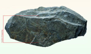 New Insights Into Paleolithic Fishing Techniques Revealed By Ancient Carved