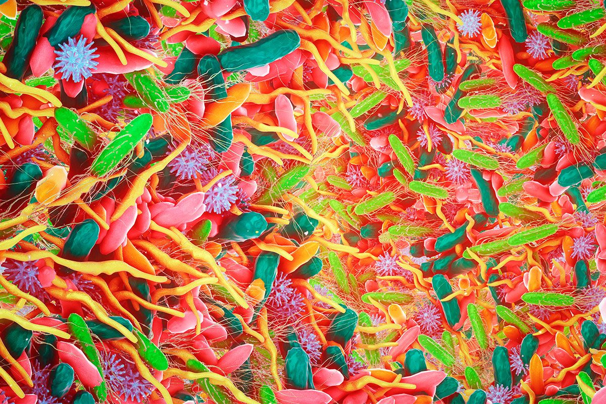 New Findings Suggest That The Key To Stress Tolerance Lies