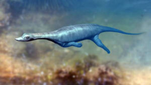 Newly Discovered Marine Reptile Species From The Triassic Period.