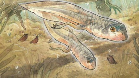 Oldest Known Tadpole Fossil Dates Back 161 Million Years