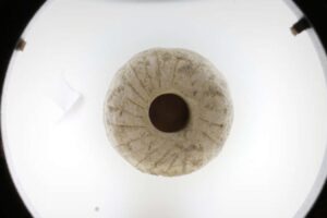 Possible Discovery: Stone Dating Back 12,000 Years Could Be The