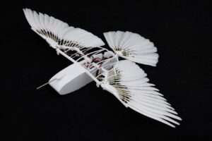 Robot Pigeon Uncovers The Secrets Of Bird Flight Without Vertical