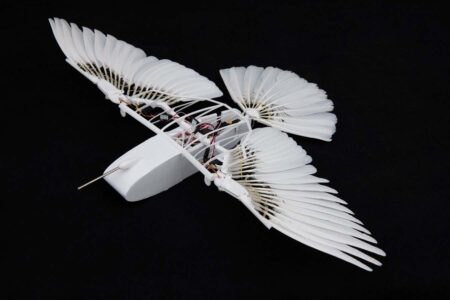 Robot Pigeon Uncovers The Secrets Of Bird Flight Without Vertical