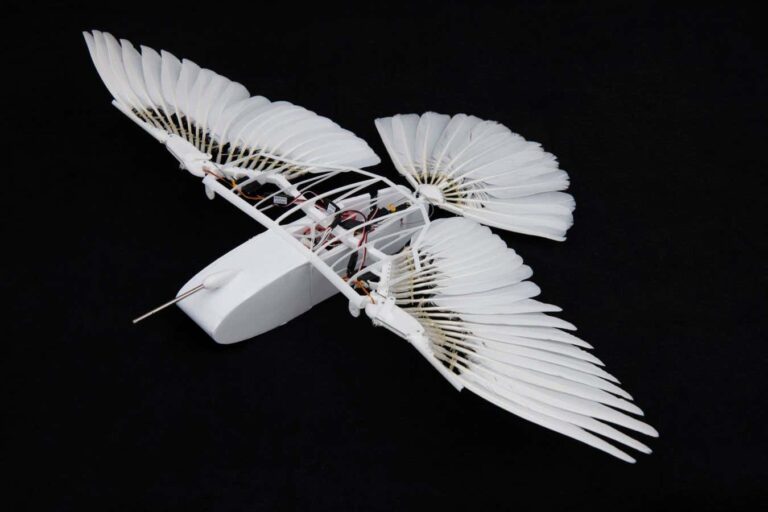 Robot Pigeon Uncovers the Secrets of Bird Flight without Vertical Caudal Fins Robot Pigeon Uncovers The Secrets Of Bird Flight Without Vertical