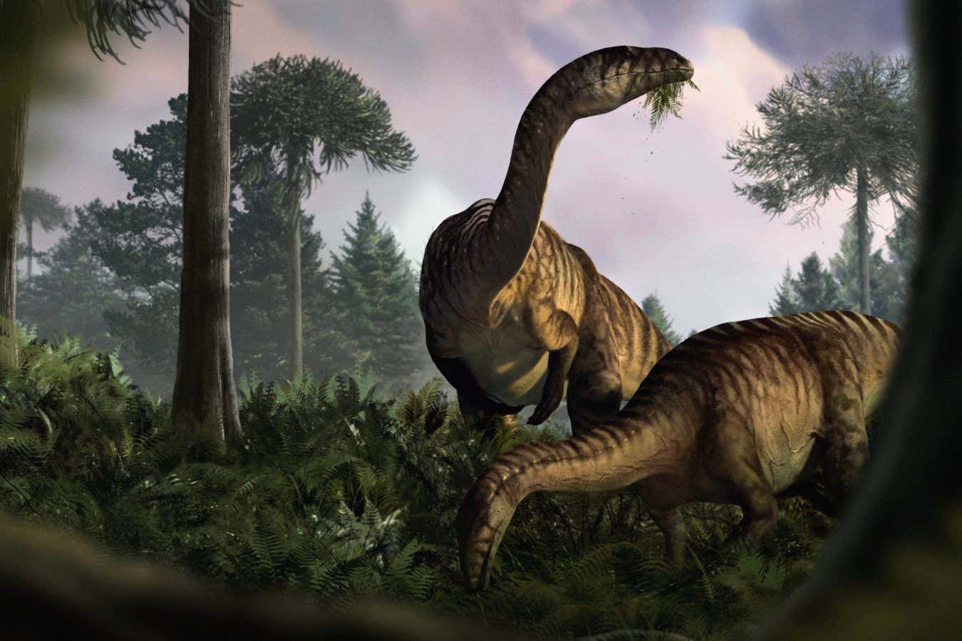 The Rise Of Dinosaurs Told Through Fossilized Feces