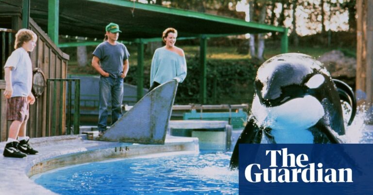 The podcast chronicles the real-life tale of the whale featured in Free Willy. The Podcast Chronicles The Real Life Tale Of The Whale Featured