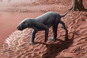 An Ancient Saber Toothed Predator Roamed 270 Million Years Ago