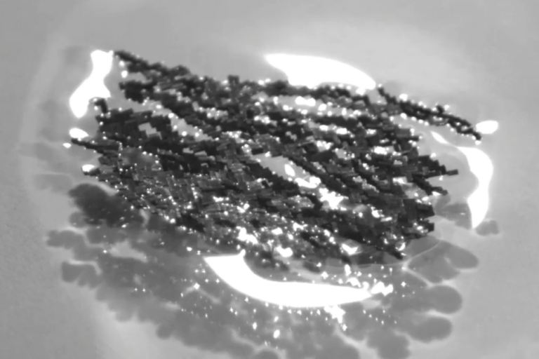 Microrobot swarm replicates incredible ant feats Microrobot Swarm Replicates Incredible Ant Feats