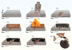 Neanderthal Hearth Structure Unearthed In Gibraltar Dating Back 65,000 Years