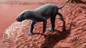 New Fossil Discovery Suggests That Therapsids Originated In The Tropics,