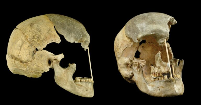 Revising the Timeline of Interbreeding Between Neanderthals and Ancient Humans Revising The Timeline Of Interbreeding Between Neanderthals And Ancient Humans