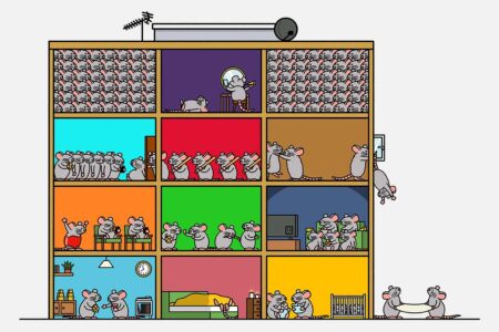 The Eerie Tale Of A Rodent Paradise Foreshadowing The Downfall