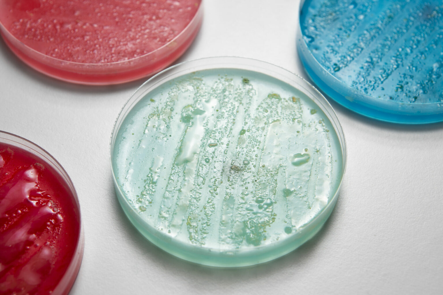 The Upcoming Advancements Of 3d Cell Culture In Biomedical Research