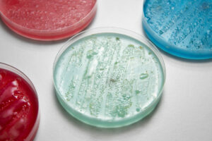 The Upcoming Advancements Of 3d Cell Culture In Biomedical Research