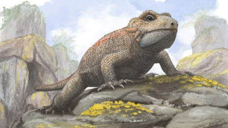 Unusual Dental Structure Discovered In Triassic Lizard Like Quasi Reptile