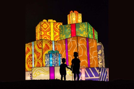 Utilizing Neuroscience To Discover The Ideal Children's Toy