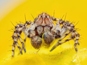 20 Most Bizarre And Beautiful Natural Images Of 2025