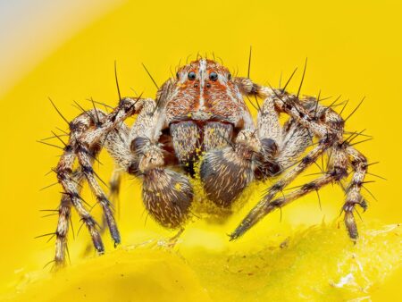 20 Most Bizarre And Beautiful Natural Images Of 2025