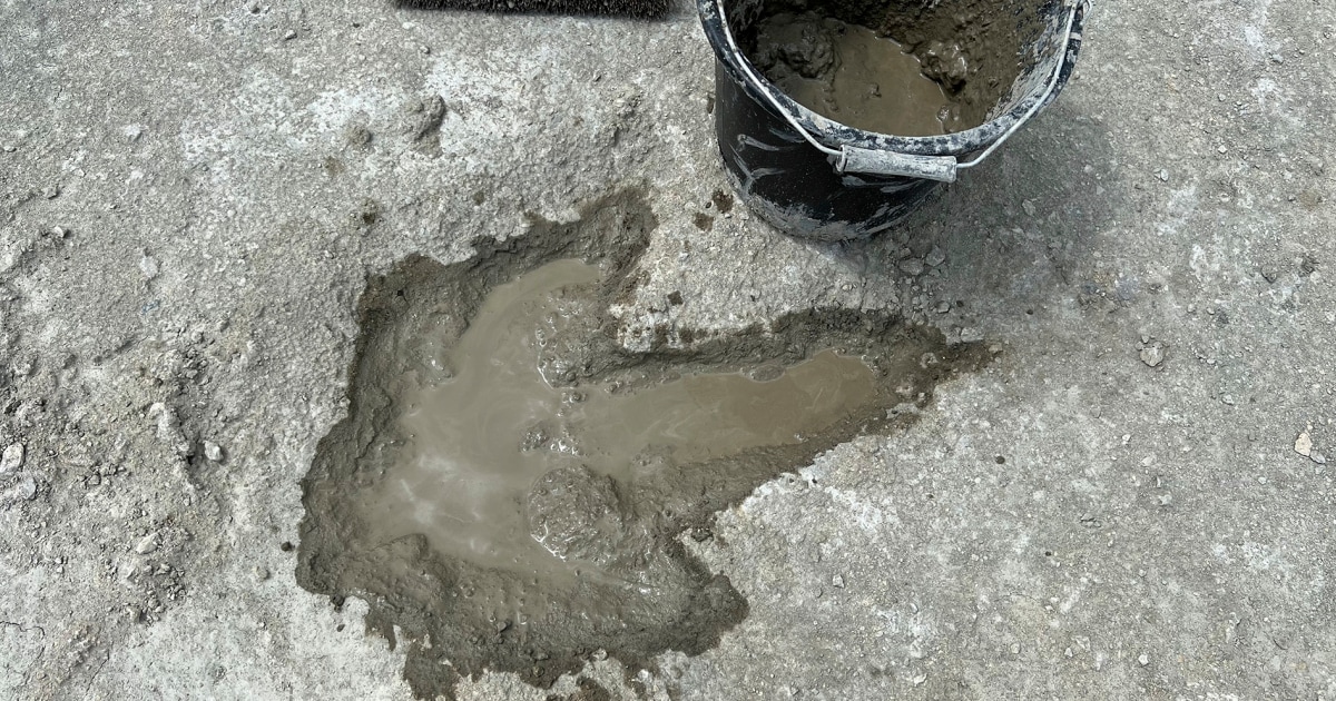 Ancient Dinosaur Highway Footprints Uncovered In The Uk, Dating Back