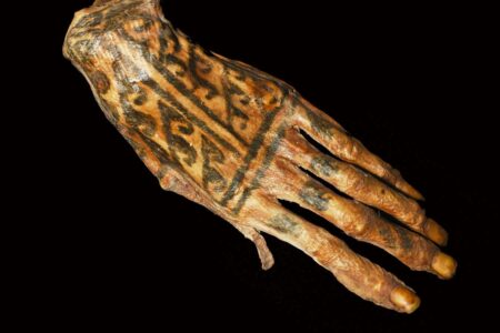 Ancient tattoo designs on mummies revealed by shining laser Ancient Tattoo Designs On Mummies Revealed By Shining Laser